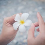 Mains pour soin et fleurs pour naturopathie
